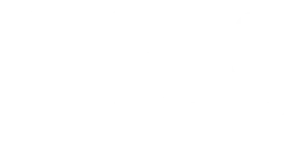Birnbaum Interpreting Services (BIS) Logo